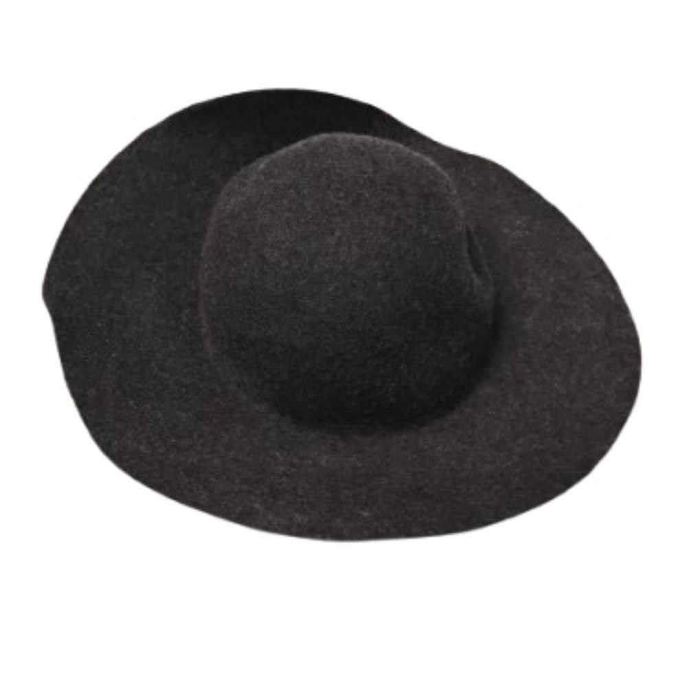 NWT J.Crew Womens Floppy Felt Wool Hat One Size - Picture 2 of 5